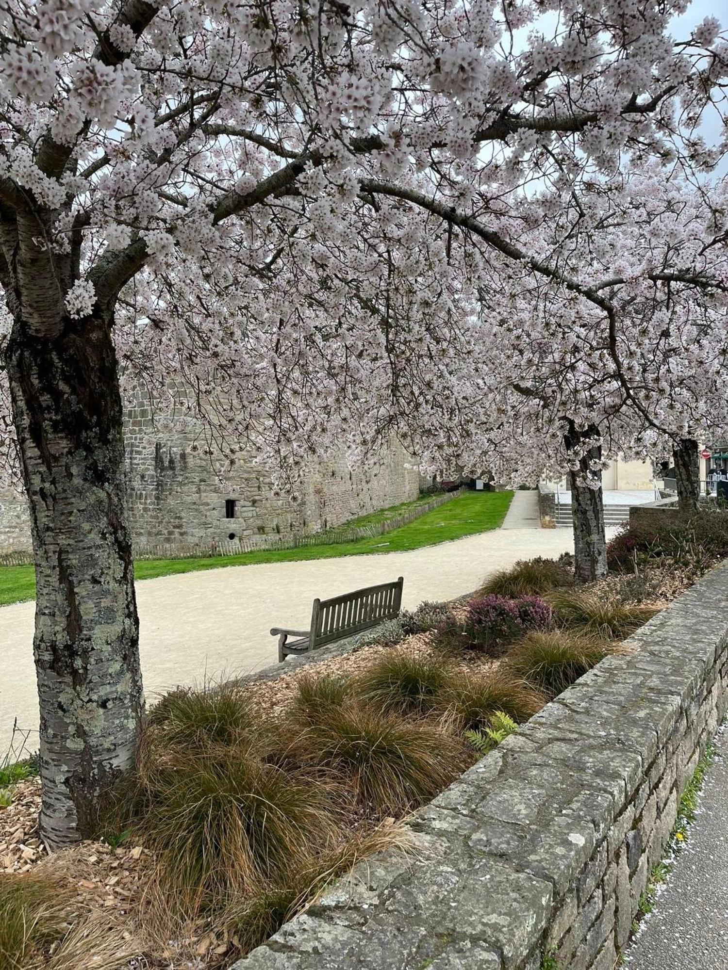 La Casa De Sophie T3 Avec Jardinet, Parking Prive - Port De Vannes Buitenkant foto